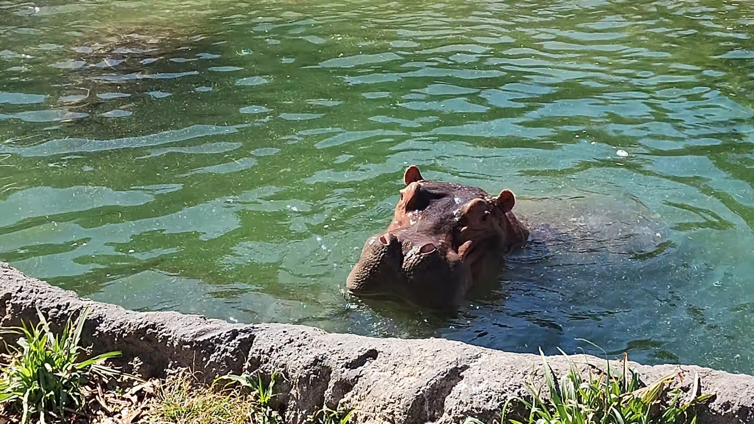 Dallas Zoological Park