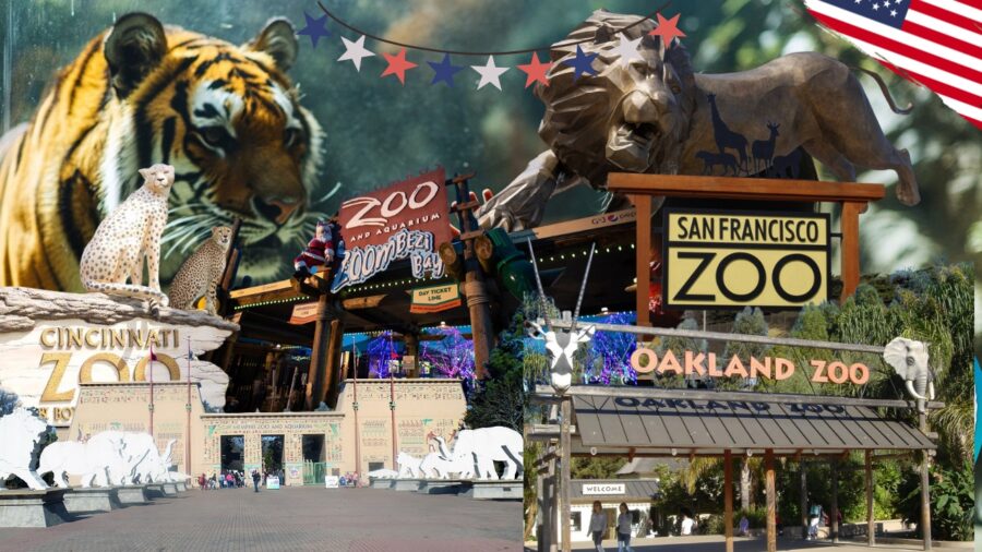 vibrant collage of various zoo entrances, including the Cincinnati Zoo, San Francisco Zoo, and Oakland Zoo, with a background of a majestic tiger