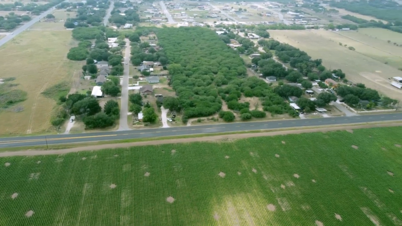 An Aerial View of Donna, Texas