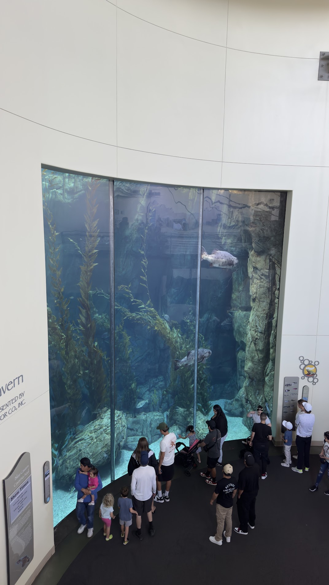 One of the aquariums with specific fish species in the Aquarium of the Pacific