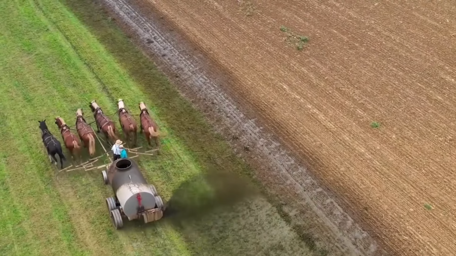 Amish Farming