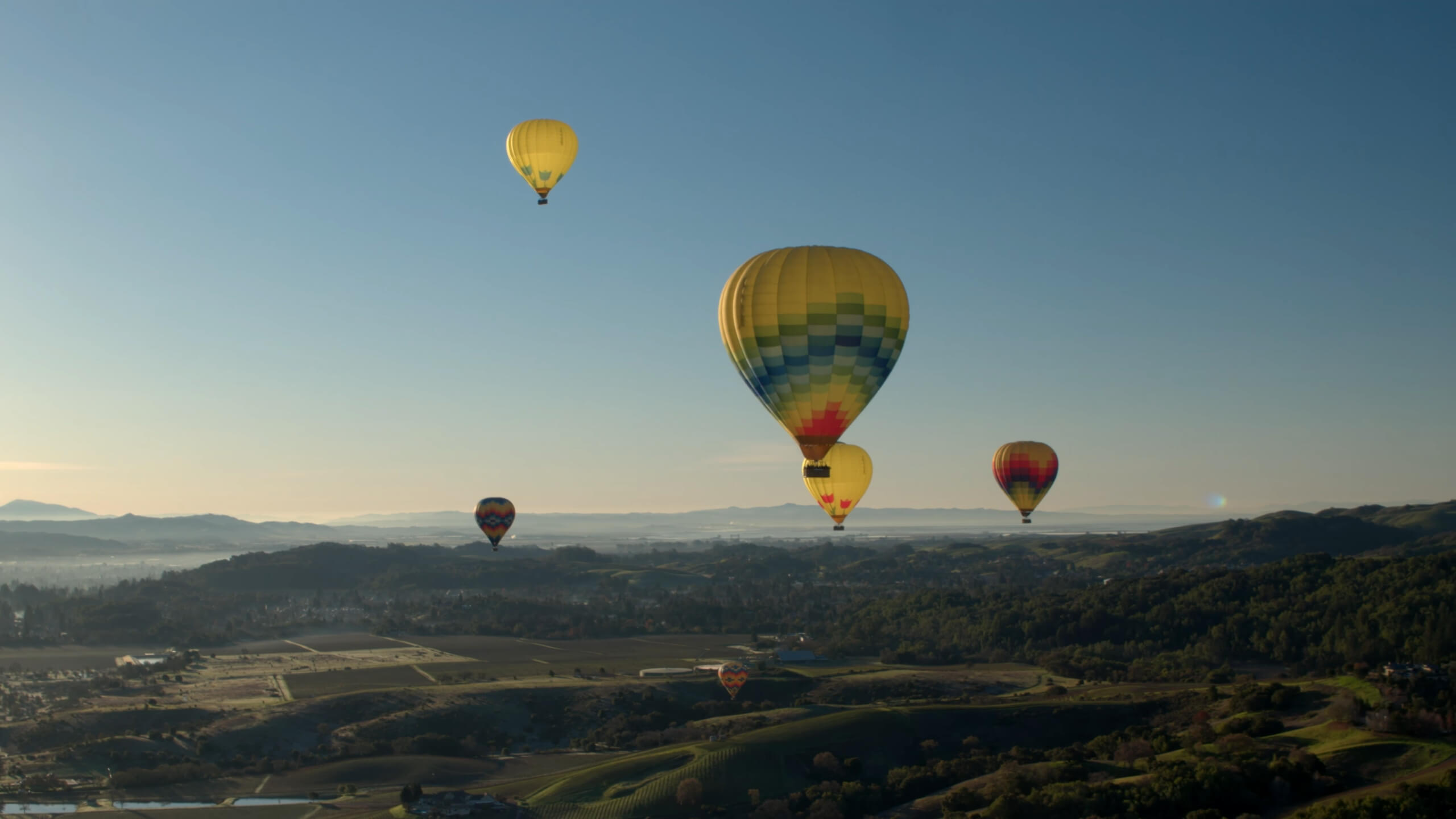 Hot air balloons in Napa Valley