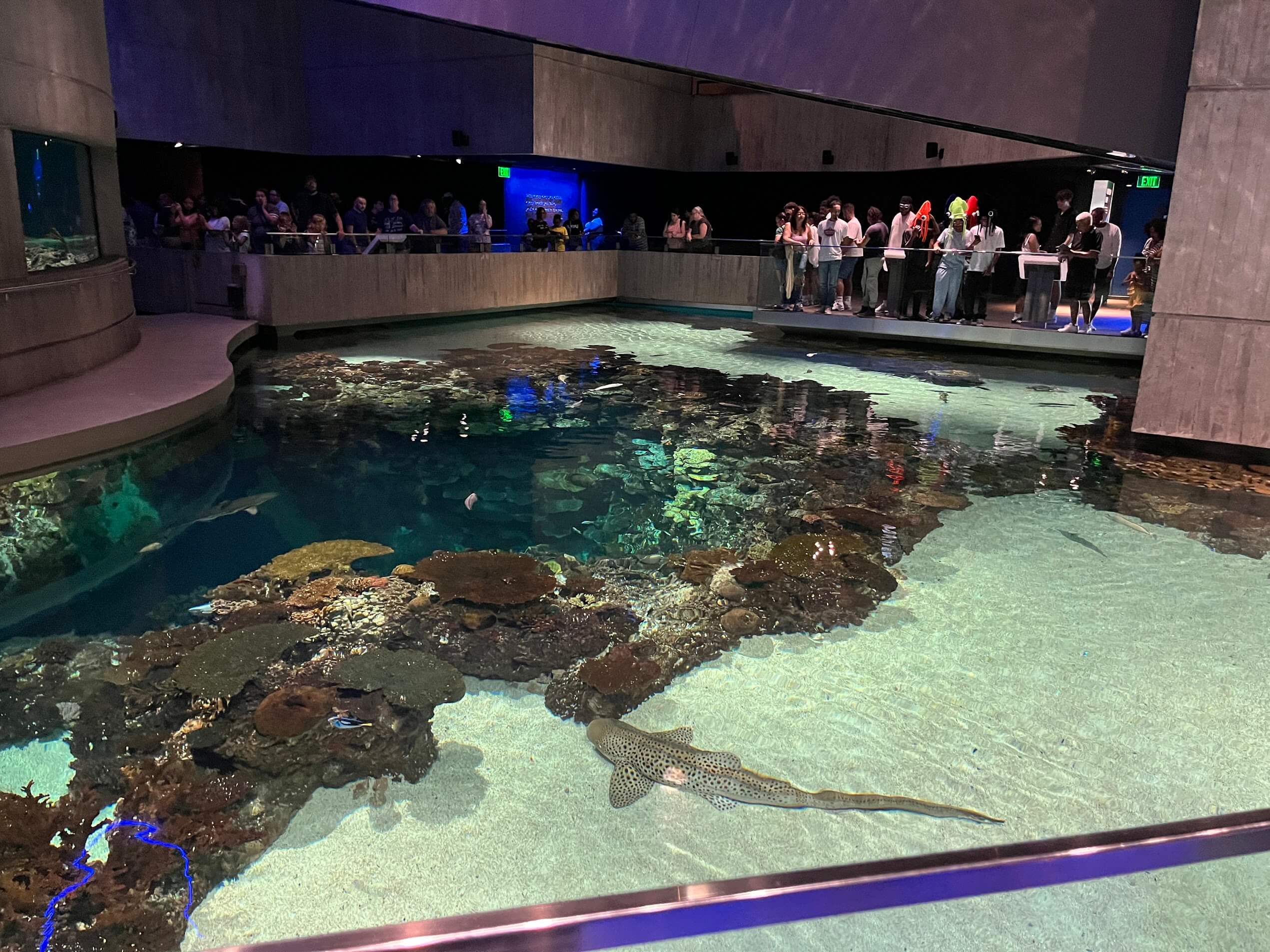 A pool with fish in the National Aquarium in Baltimore