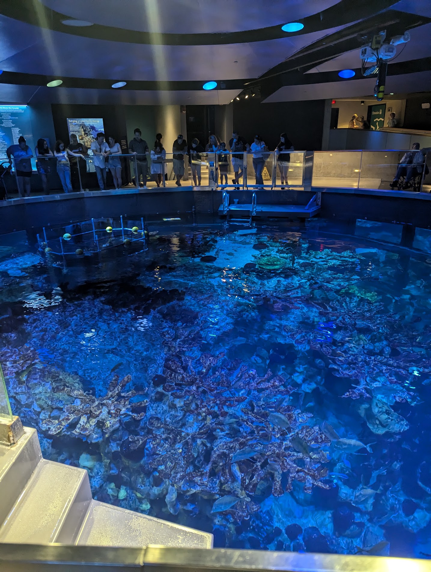 The underground world at the New England Aquarium in Boston