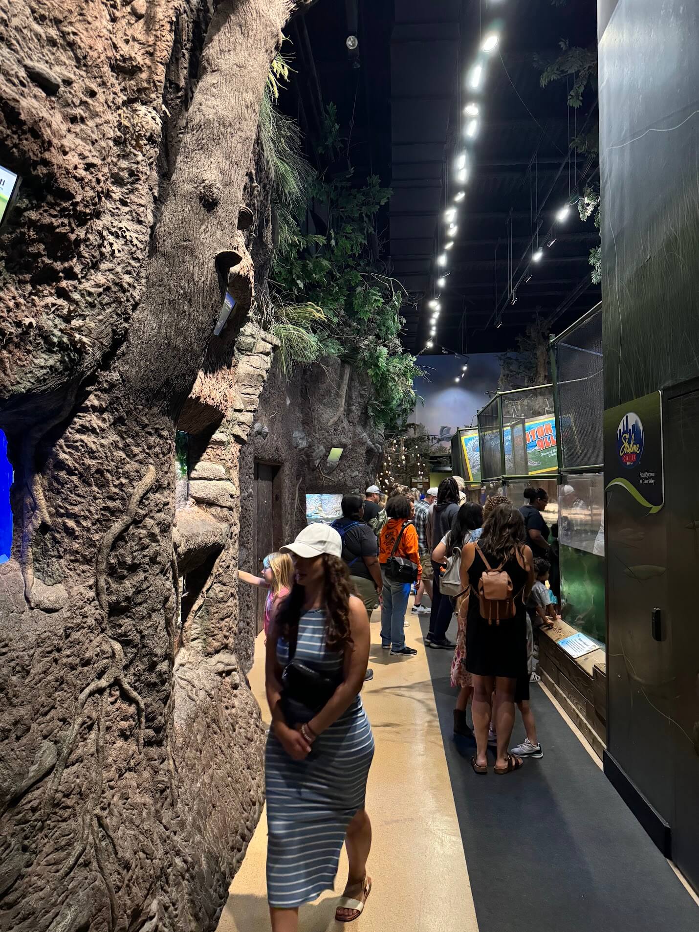 Amazon Tunnel in Newport Aquarium