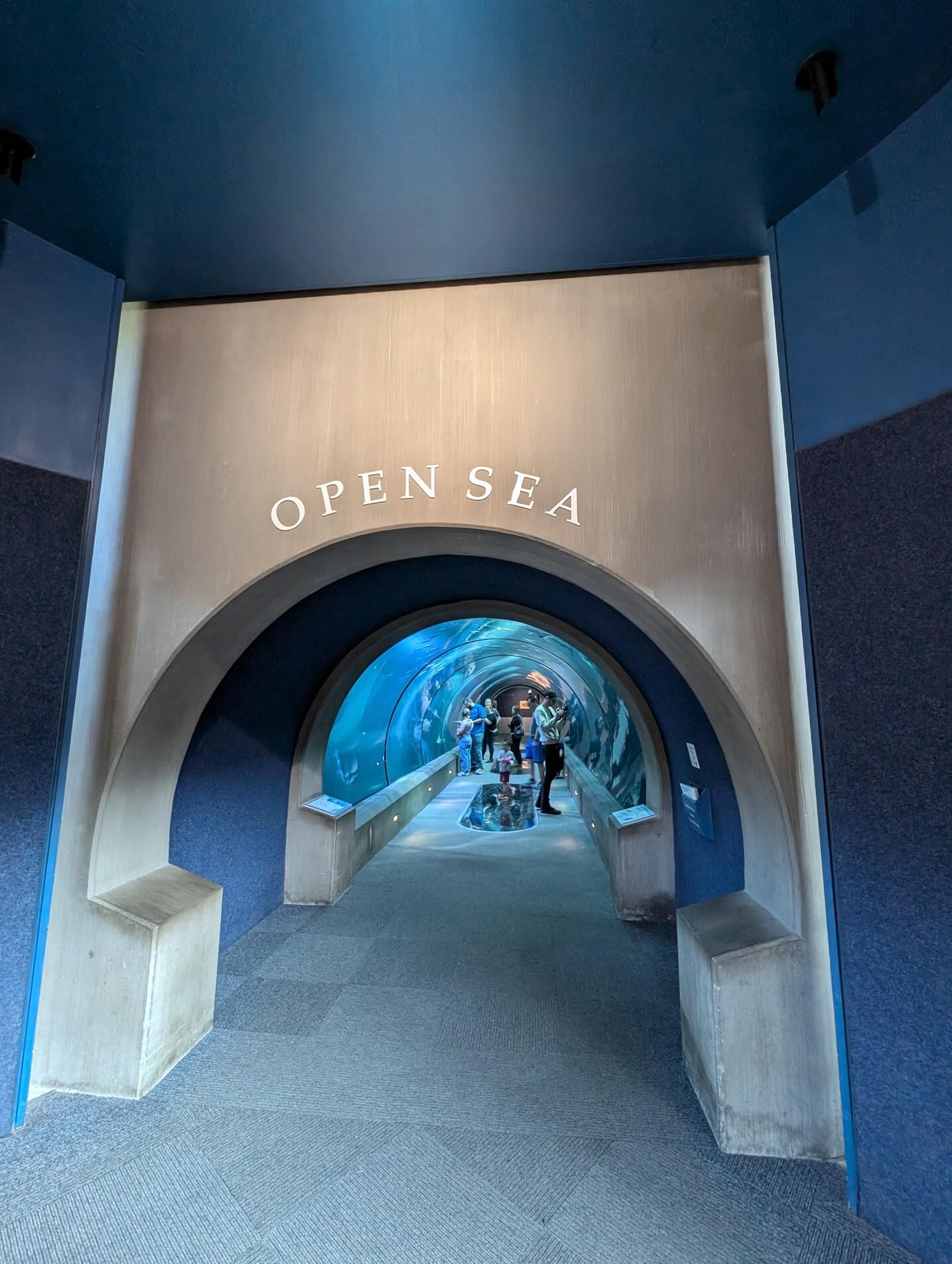 Open Sea Tunnel Oregon Coast Aquarium