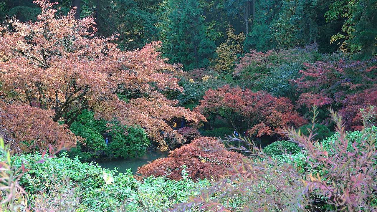 Portland Japanese Garden