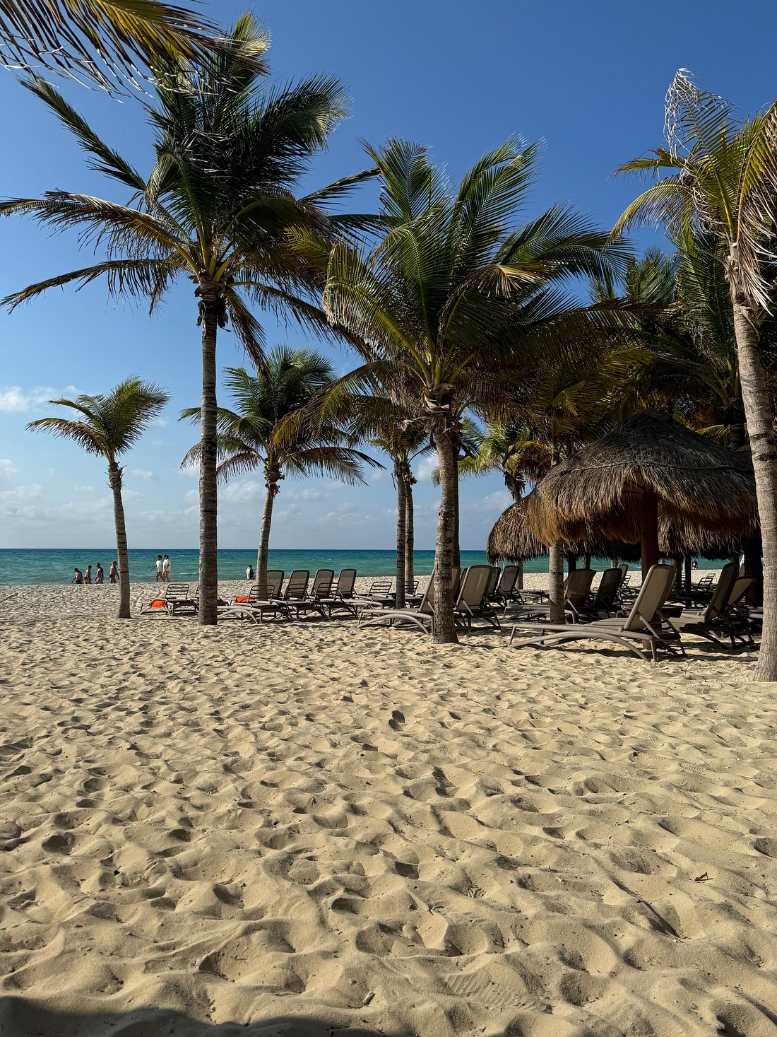 Beautiful sandy beach at Viva Wyndham Maya Resort