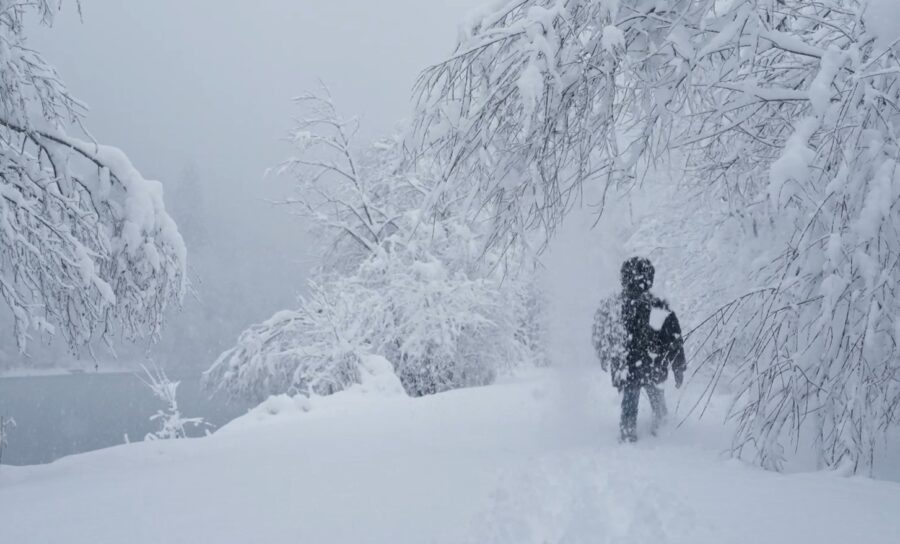 Person walking through snowy wood