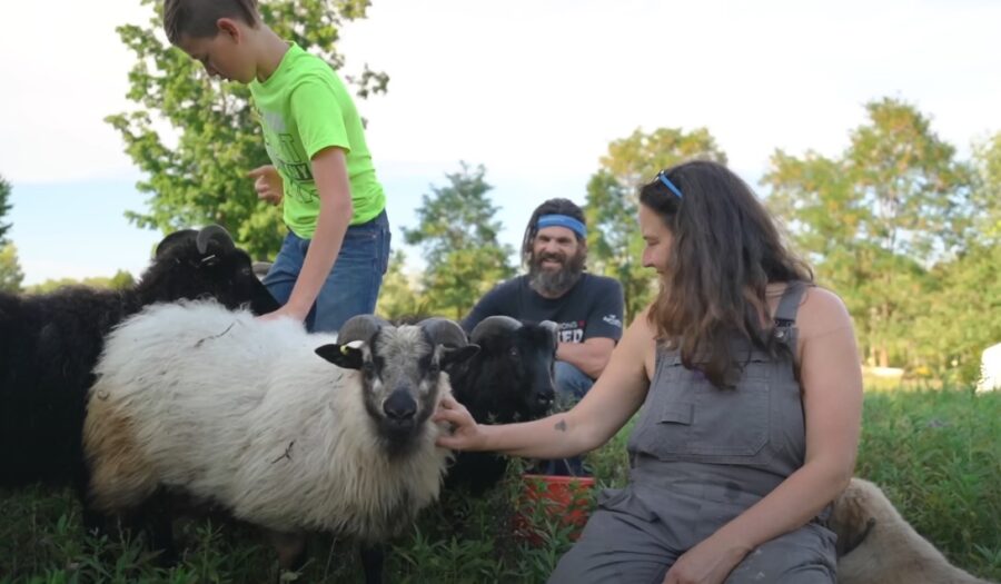 A family enjoys a close encounter with farm animals