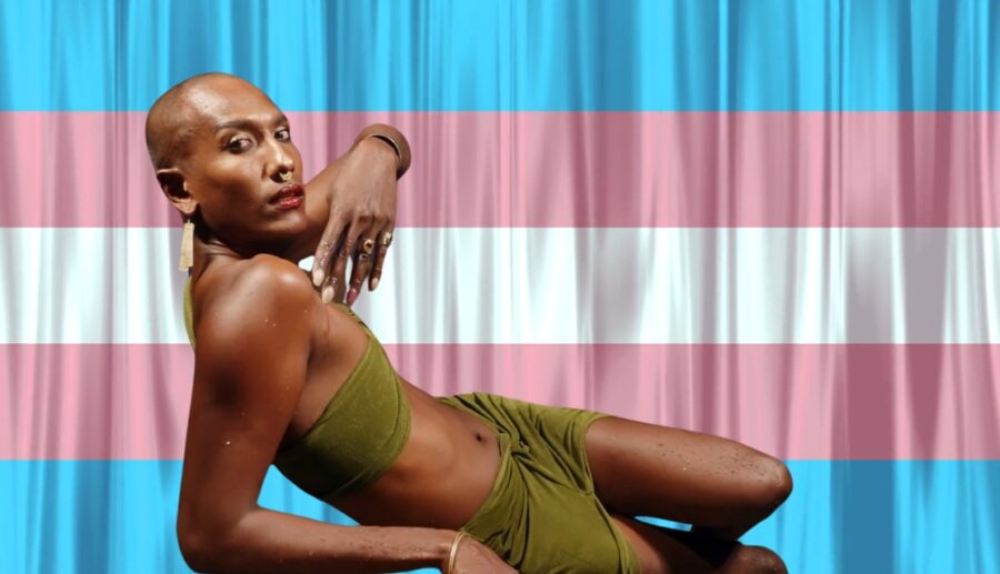 A confident trans individual, draped against a backdrop of the transgender pride flag