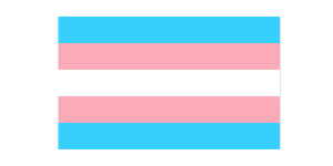 trans flag