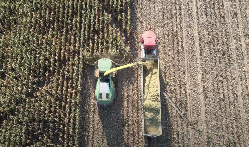 Aerial view of agricultural machinery working in a cornfield