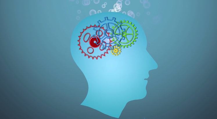 Colorful cogs within a profile head, representing the complex workings of the human mind