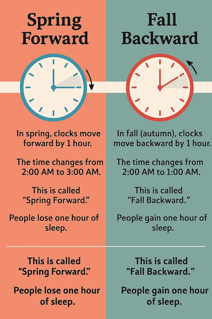 Infographic explaining daylight saving time