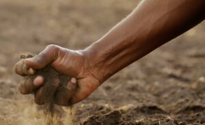 A hand grasps a clump of soil, revealing its dark, fertile heart