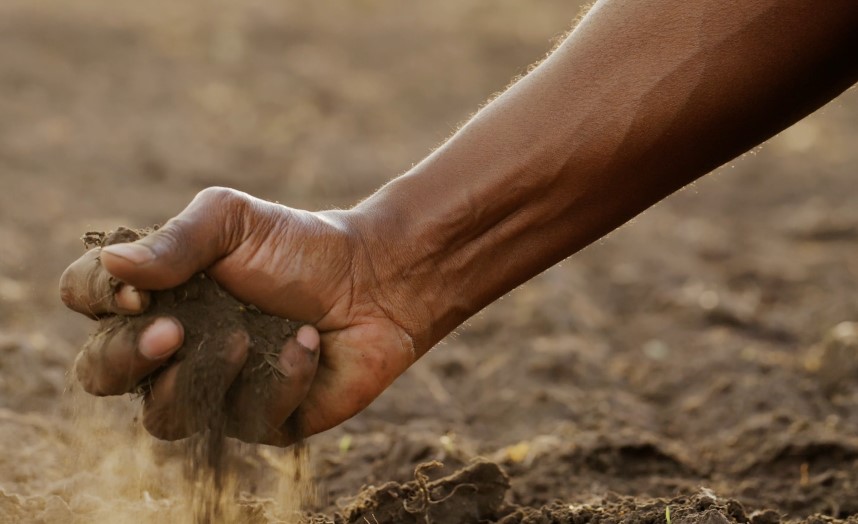 A hand grasps a clump of soil, revealing its dark, fertile heart