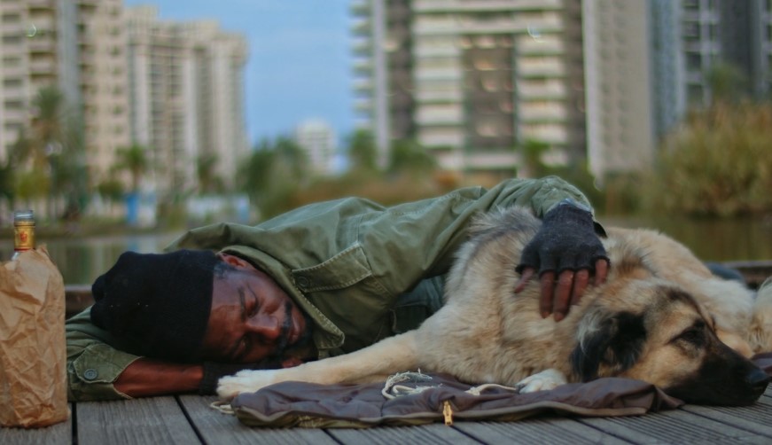 A man and his dog find solace on a wooden dock, amidst the urban backdrop