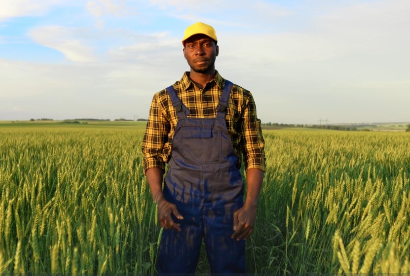 A farmer stands amidst a vibrant wheat field