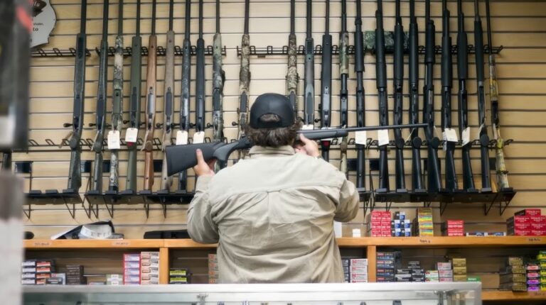 How Many Guns Are in America in 2025? The Latest Statistics You Need to ...