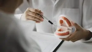 A dentist explains oral care using a teeth model during a consultation, highlighting expanded dental coverage in New York