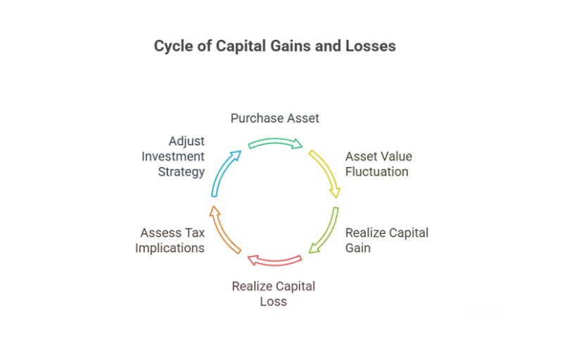 Diagram illustrating the cycle of capital gains and losses