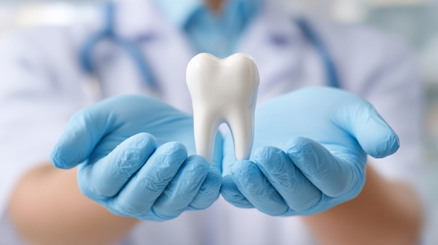 A dentist wearing gloves holds a large tooth model to emphasize the importance of dental care access