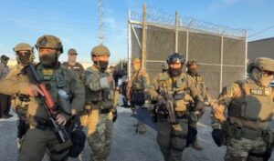 ICE agency responsibilities