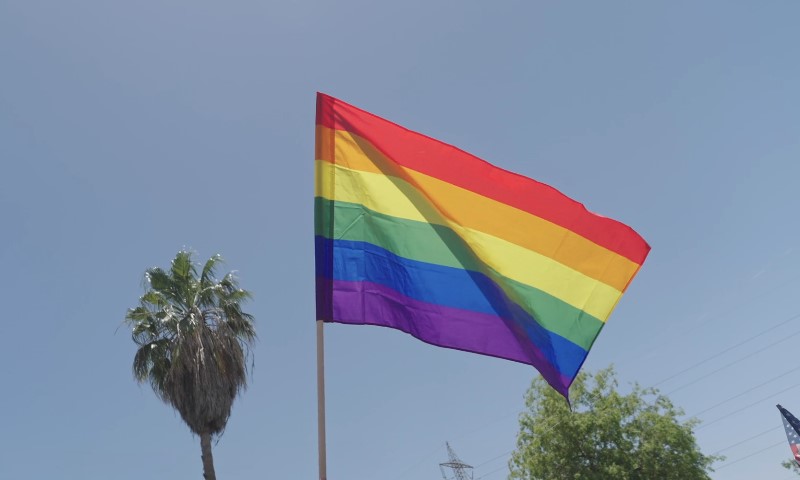 LGBT rainbow flag waves in the breeze, surrounded by tall palm trees under a clear blue sky