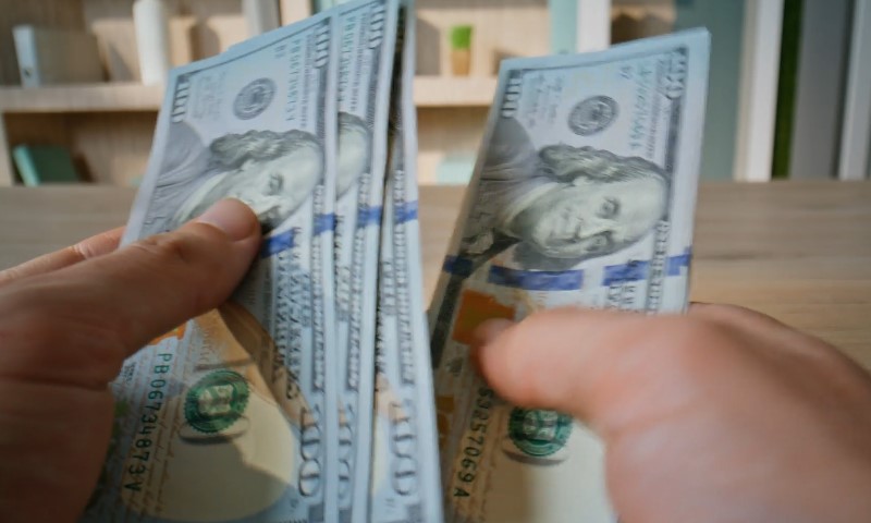 A person holding dollar bills