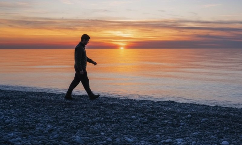 A person walks along a rocky shoreline at sunset, silhouetted against an orange and purple sky