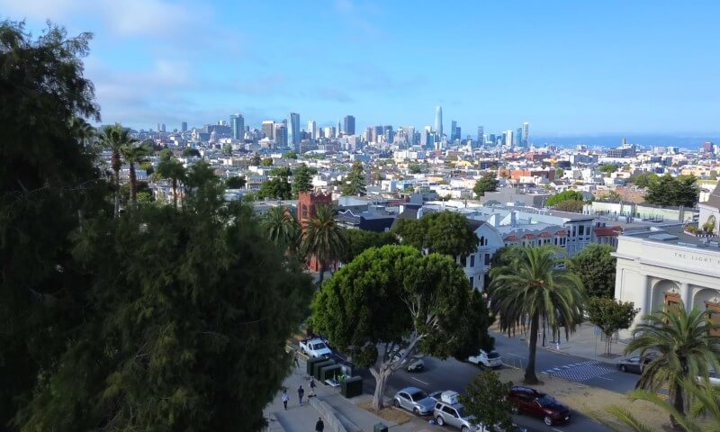 A scenic view of a city skyline under a clear blue sky, with skyscrapers in the background and lush greenery and palm trees in the foreground