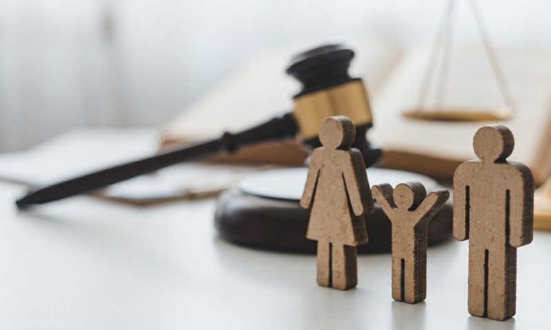 Child Support Laws