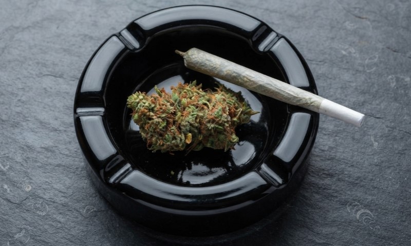 Cannabis use disorder prevalence