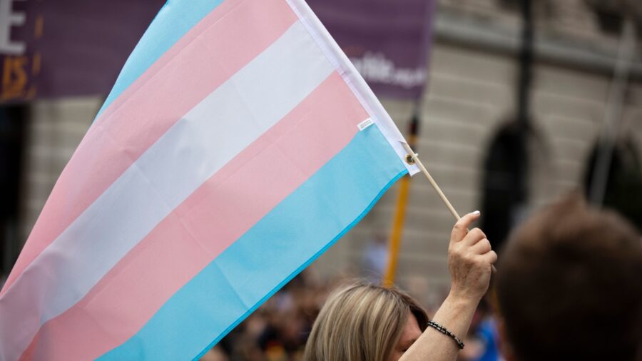 A person holds a transgender pride flag at a public event.