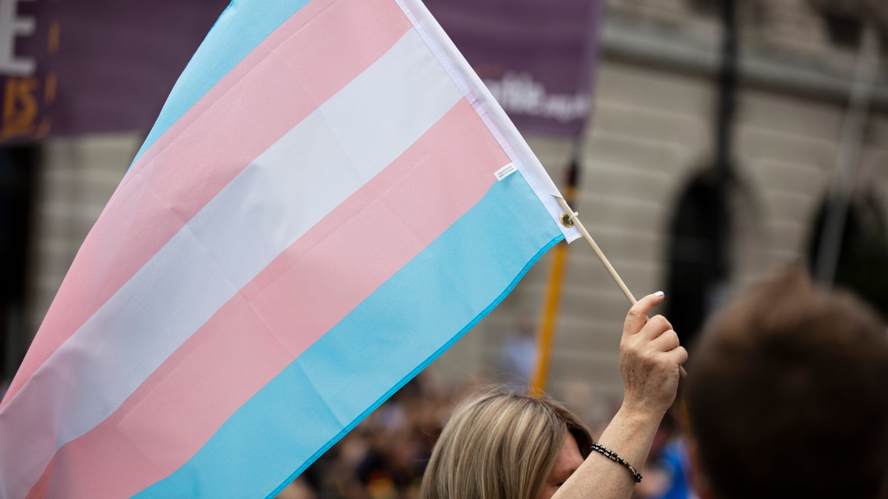 A person holds a transgender pride flag at a public event.