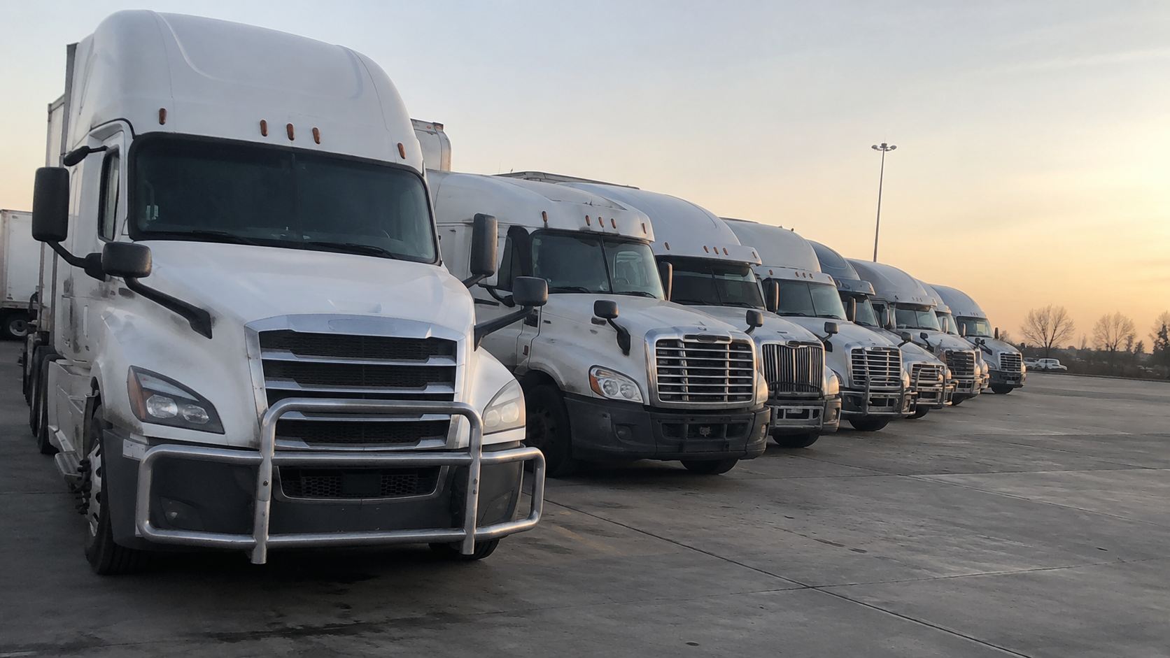 Row of white semi-trucks parked side by side.