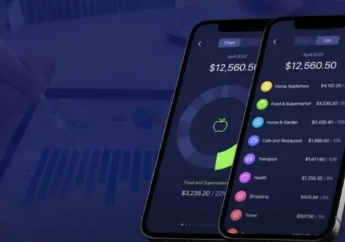 Detailed monthly spending breakdown displayed on a mobile app