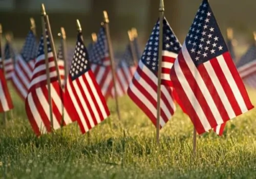 American flags standing on a small poles in the grass